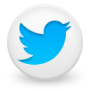 twitter-icon dba mastership